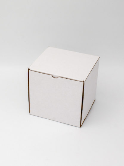 E Commerce 100 Cube